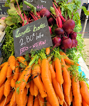 producteur - carottes